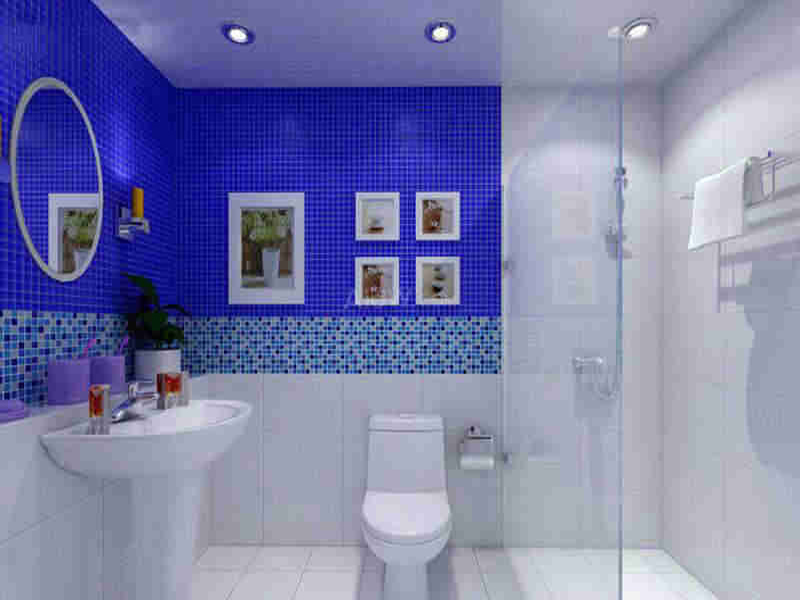 蔡甸區衛浴維修公司,武漢蔡甸浴缸漏水修理,蔡甸馬桶安裝服務