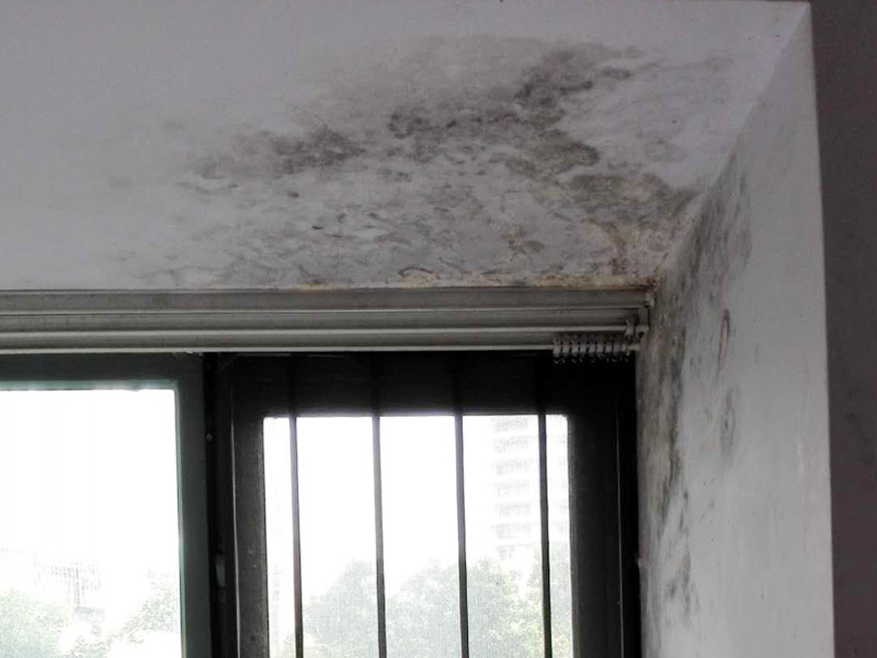 墻面起霉維修：墻壁起霉的處理：打磨、修補、刷防水涂料。
1、用砂紙打磨干凈，如果有脫層，用鏟刀處理平整；
2、如果墻面不平整，需要用膩子修補平整；如果墻面比較平整，建議先涂刷封閉底漆，然后再刷乳膠漆。
3、為了防止后期墻面再次發霉，建議再刷一層防水涂料、乳膠漆等。