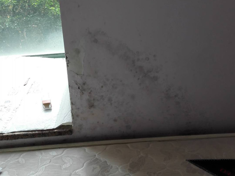 墻面起霉維修：墻壁起霉的處理：打磨、修補、刷防水涂料。
1、用砂紙打磨干凈，如果有脫層，用鏟刀處理平整；
2、如果墻面不平整，需要用膩子修補平整；如果墻面比較平整，建議先涂刷封閉底漆，然后再刷乳膠漆。
3、為了防止后期墻面再次發霉，建議再刷一層防水涂料、乳膠漆等。