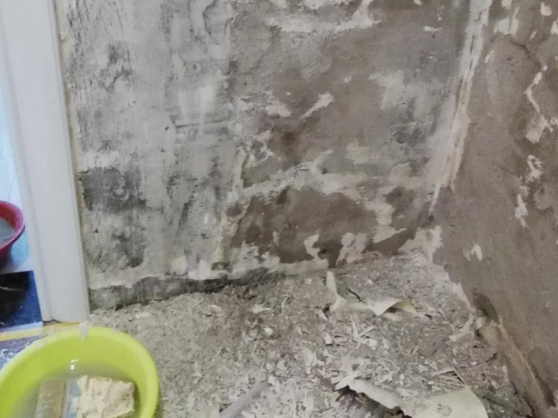 局部墻面修補維修：白墻或者裸墻局部鼓起或者輕微龜裂剝落的話，可以把出現問題的地方鏟除，并將鏟除后的邊緣磨平滑后，重新刮一次膩子，上底漆，再刷再涂，這樣就可以及時修補，不過可能會跟原來的墻面有一點色差。 對于局部剝落比較嚴重的情況，就有必要考慮是否是墻面基底根本沒做好的原因。將原墻體鏟除至墻面基層，用界面劑或者封固底漆重新涂刷一遍，再按照粉刷石膏找平、貼網格布(加固防裂)、批刮墻襯三遍后打磨平整，整個基層質量此時就會好很多。