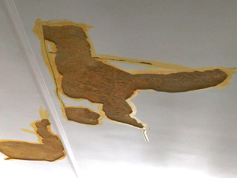 客廳天花板維修：導致掉皮的原因其實也并不少，要根據原因入手去弄哦，這樣才更有效！施工溫度的原因，乳膠漆施工溫度低，未能形成連續的涂膜而龜裂，遇水即會脫落;基層疏松，有油污等污物，涂膜與基層粘附不好，造成剝落；基層批刮膩子強度低，膩子層未干透即涂刷乳膠漆；基層過于平滑，以造成涂膜附著力不好。剝落防范:施工前先觀察一下，清理好基層。原來的乳膠漆最好鏟掉，重新批一下墻面，再上新乳膠漆。直接滾上去覆蓋的話時間不長很容易脫落。墻面時間長也會起鼓、掉皮的，你就是買高品質的抗堿底漆、封閉底漆先刷幾遍再做基層處理和乳膠漆。