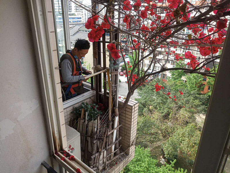 陽臺植物拆除:將陽臺和客廳打通。很多人想擴大自家客廳面積，改善采光情況，因此就選擇打通陽臺和客廳，這并不是完全不行的，但是要考慮戶型的實際情況。有的戶型陽臺的墻是用來抗震的，如果拆掉，短期看不出問題，但是長期使用必然會影響房子的承載能力，遇到嚴重災禍的時候，就完全無法抵抗了。