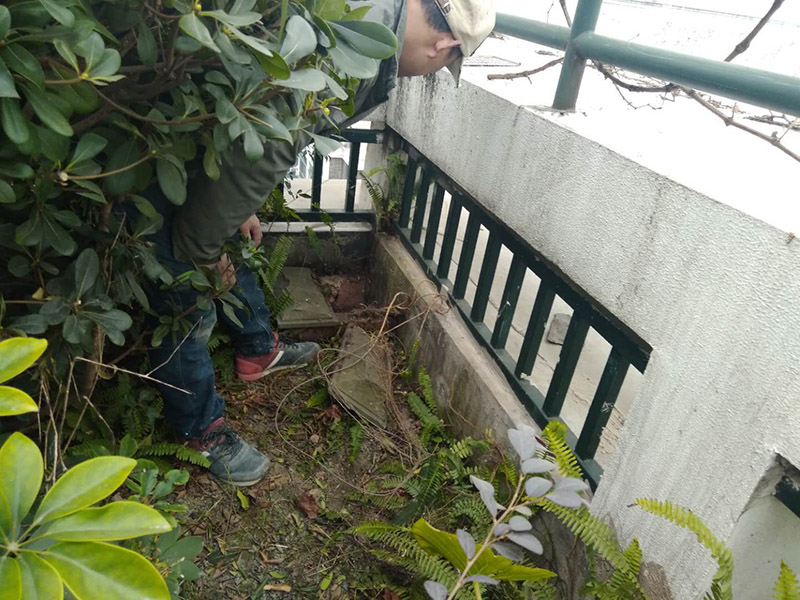 屋頂露臺看現(xiàn)場：如果防水師傅沒有檢驗(yàn)基層，直接就刷防水涂料的話，那么基層比較差，后期肯定會發(fā)生滲漏問題的。當(dāng)然，有的朋友會說，即便發(fā)生這種情況，后果也是該師傅來承擔(dān)的。但事實(shí)上，真的沒有人會希望發(fā)生問題，畢竟在出現(xiàn)問題之后，會給自己生活帶來很大的麻煩。