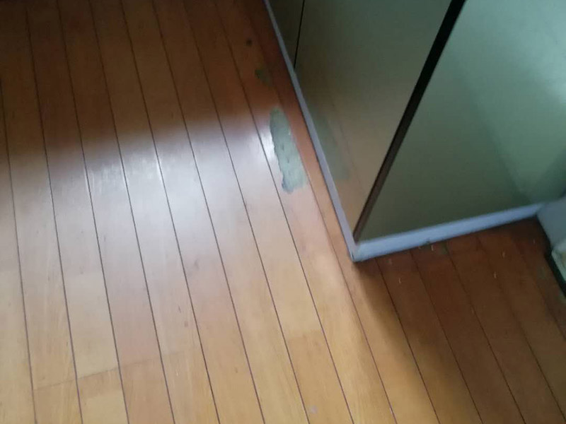 地板局部維修翻新：起下需替換的地板。用一字螺絲刀即將替換的地板短邊處鑿出一個1厘米長的縫隙,再用曲線鋸將需替換的地板表面鋸成十字形的鋸縫;然后將分紅四小片的地板取出。 整理膠水。用鋼鋸條整理原接口殘留的膠水,并確保整理好的榫槽便于裝置,假如整理不完全,接縫會不平或不嚴。能夠用有新榫頭小片地板在接口上來回滑動,找出殘留膠跡并鏟除,使修正后的地板漂亮。