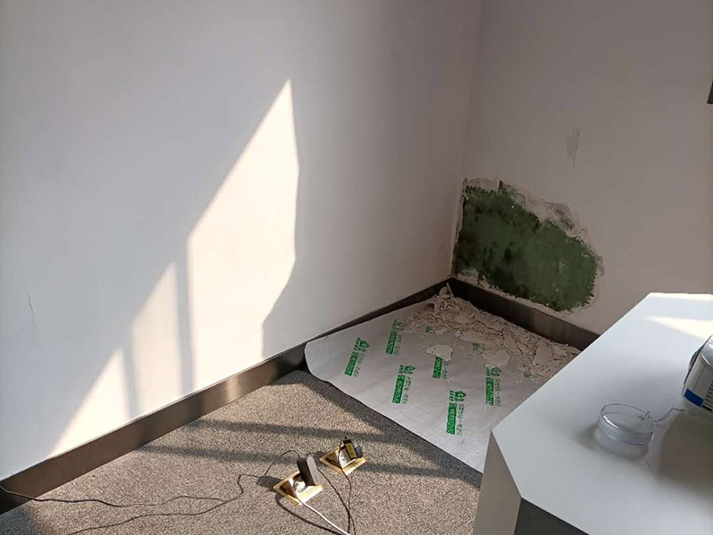 墻面局部修補施工:先將墻體破損凸出的地方鏟掉；取出從網上商城買的補墻膏補墻漆套裝；打開補墻膏，先攪拌均勻后，用小鏟抹少量補墻膏，填進坑洼起皮的部位，干燥24小時；隔天干后對墻體用砂紙打磨平整，用抹布把表面粉層擦拭掉；用補墻漆兌10%左右的水稀釋，攪拌均勻后用刷子涂在墻體上，進行2~3涂刷。