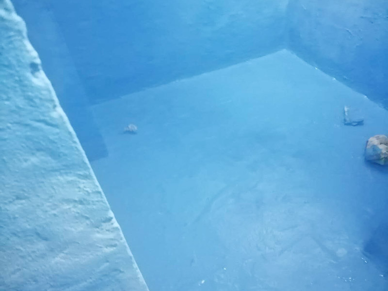 衛(wèi)生間防水維修: 鏟除原有的墻磚和地磚，這個步驟主要是針對老房二次裝修的，如果是新房可以跳過這個步驟，一般使用灰刀就可以，刮板也可以將原有的地磚鏟除掉。墻面將水電改造開槽用水泥封堵基層清理，細部附加層施工，在管根、地漏、陰陽角、等容易漏水的薄弱部位均勻涂刷，涂刷防水涂料兩遍，縱向橫向各涂刷一遍，做保護層，待防水干燥后放水做48小時閉水試驗。