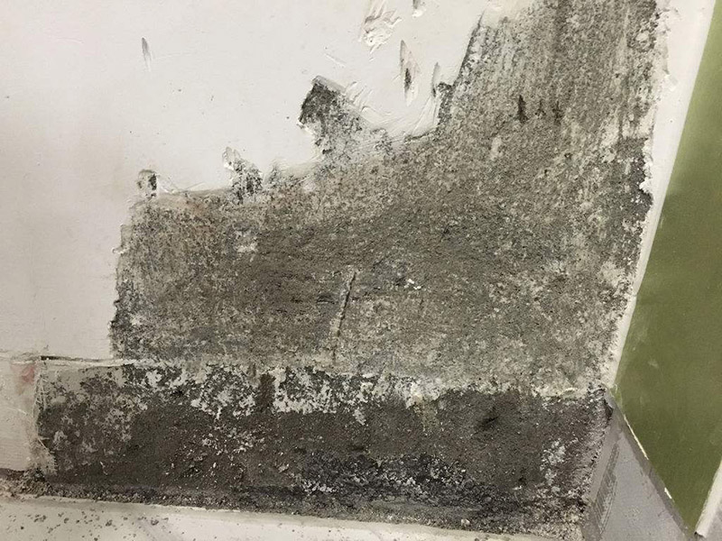 梅雨季節墻壁發霉怎么處理，為大家整理的小竅門來了