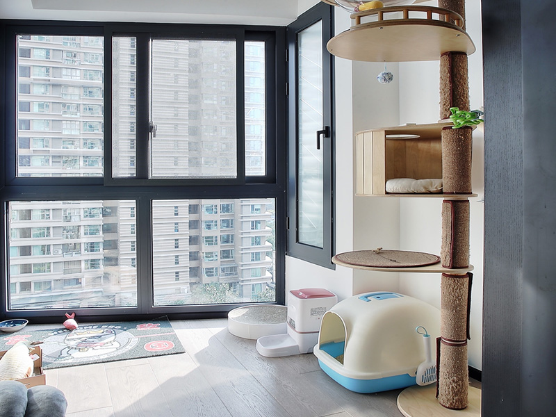 安陽市文峰區局部裝修設計-貓咪房裝修